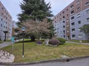 Appartamento in vendita a Pioltello MI