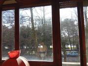 Appartamento in vendita a Pisa