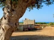 Rustico / Casale in vendita a Polignano a Mare BA