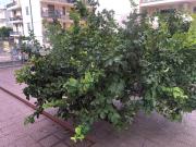 Appartamento in vendita a Pozzuoli NA