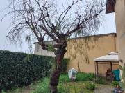 Appartamento in vendita a Prato PO