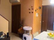 Appartamento in vendita a Prato PO