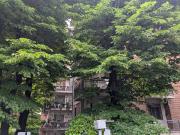 Appartamento in vendita a Reggio Emilia RE