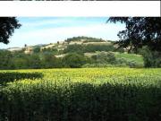 Appartamento in vendita a Rieti RI