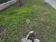 Appartamento in vendita a Rimini