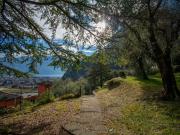 Appartamento in vendita a Riva del Garda TN