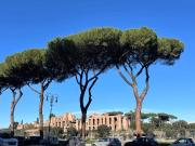 Appartamento in vendita a Roma, Aventino