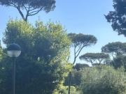 Appartamento in vendita a Roma Appartamento in vendita a Roma