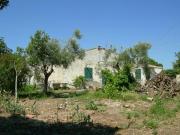 Appartamento in vendita a Rosignano Marittimo