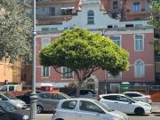 Appartamento in vendita a Salerno SA