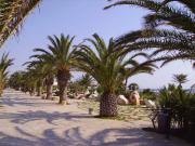 Appartamento in vendita a San Benedetto del Tronto AP