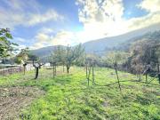 Appartamento in vendita a Sanremo IM