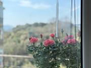 Appartamento in vendita a Savona, LeginoZinola