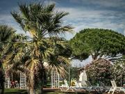 Appartamento in vendita a Scarlino GR