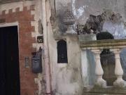 Appartamento in vendita a Sessa Aurunca CE