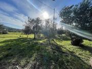 Appartamento in vendita a Sesto Fiorentino FI