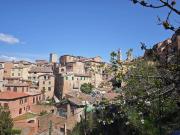 Appartamento in vendita a Siena SI