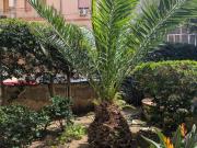 Appartamento in vendita a Siracusa SR