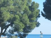 Appartamento in vendita a Spotorno SV