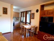 Appartamento in vendita a Tolmezzo UD