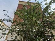 Appartamento in vendita a Torino TO