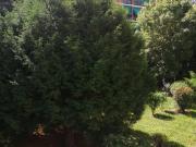 Appartamento in vendita a Torino TO