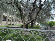 Appartamento in vendita a Toscolano Maderno BS