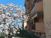 Appartamento in vendita a Trecate NO