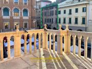 Appartamento in vendita a Treviso
