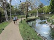 Appartamento in vendita a Treviso TV