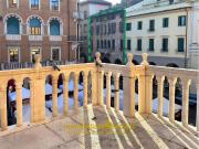 Appartamento in vendita a Treviso TV