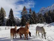 Appartamento in vendita a Valleve