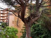 Appartamento in vendita a Varazze SV