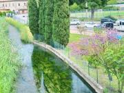 Appartamento in vendita a Venturina Terme Campiglia...