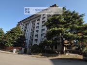 Appartamento in Vendita a Verona