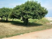 Appartamento in vendita a Verona VR