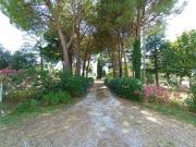 Appartamento in vendita a Verucchio RN
