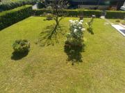 Appartamento in vendita a Viareggio 80 mq Rif: 1325696