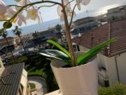 Appartamento in vendita a Viareggio 95 mq Rif: 1327121