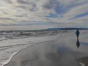 Appartamento in vendita a Viareggio LU