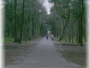 Appartamento in vendita a Viareggio LU