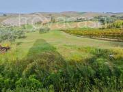 Appartamento in vendita a Volterra via Guarnacci, 13