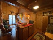 Appartamento in vendita ad Auronzo di Cadore via Ligonto,108