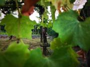 Appartamento in vendita di 100 m²