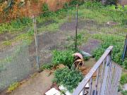 Appartamento in vendita di 100 m² in Via Diomede Carafa