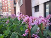 Appartamento in vendita di 101 m² in Via Chianciano, 7