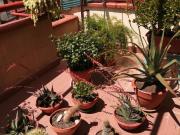 Appartamento in vendita di 102 m² in Via Arona, 36