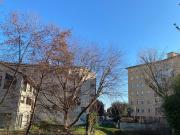 Appartamento in vendita di 103 m² in Viale Luigi Luzzatti