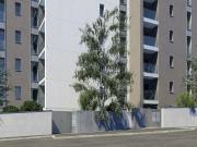 Appartamento in vendita di 106 m² in Via Don Giuseppe Pozzi