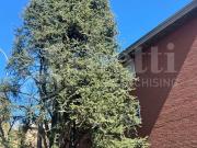 Appartamento in vendita di 107 m² in Via della Pace, 2